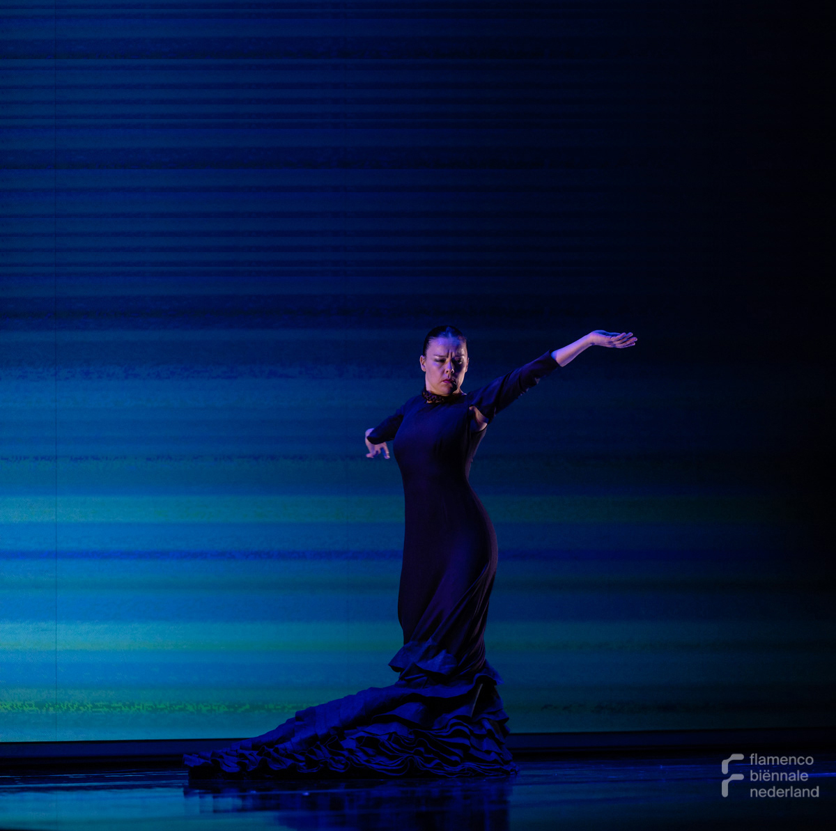 Flamenco Biënnale Nederland | Internationaal Podiumkunstenfestival